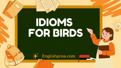 Idioms for Birds