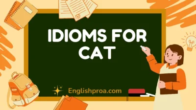 Idioms for Cat