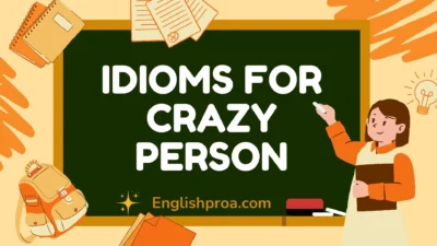 Idioms for Crazy Person